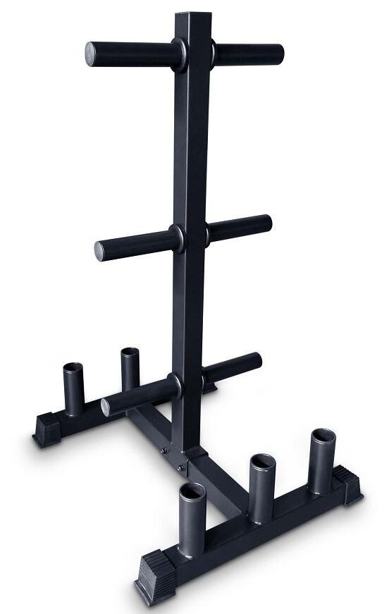Aerofit Aerofit AFSDDIG стойка для хранения дисков и грифов