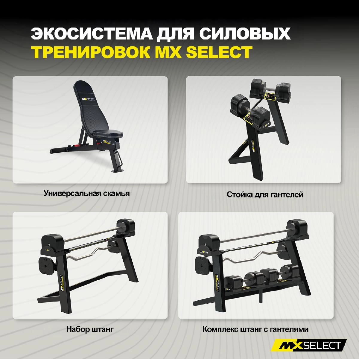 Веса дополнительные для гантелей MX Select, 0.57 кг, 4 шт с держателем