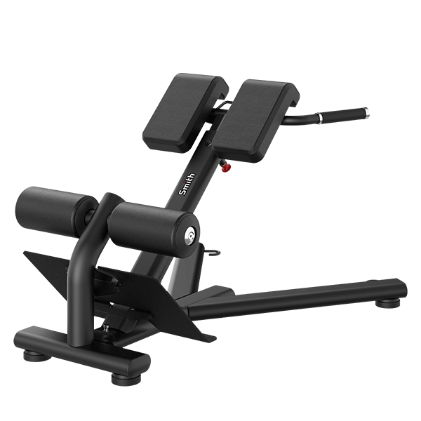 Гиперэкстензия (разгибание спины) Smith RE6010